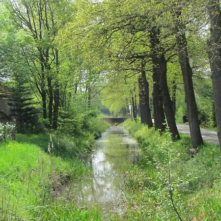 De Lisdodde Ewijk