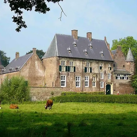 De Lisdodde