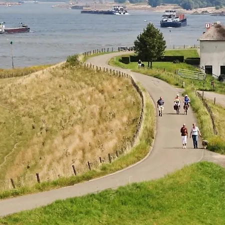 De Lisdodde * Ewijk